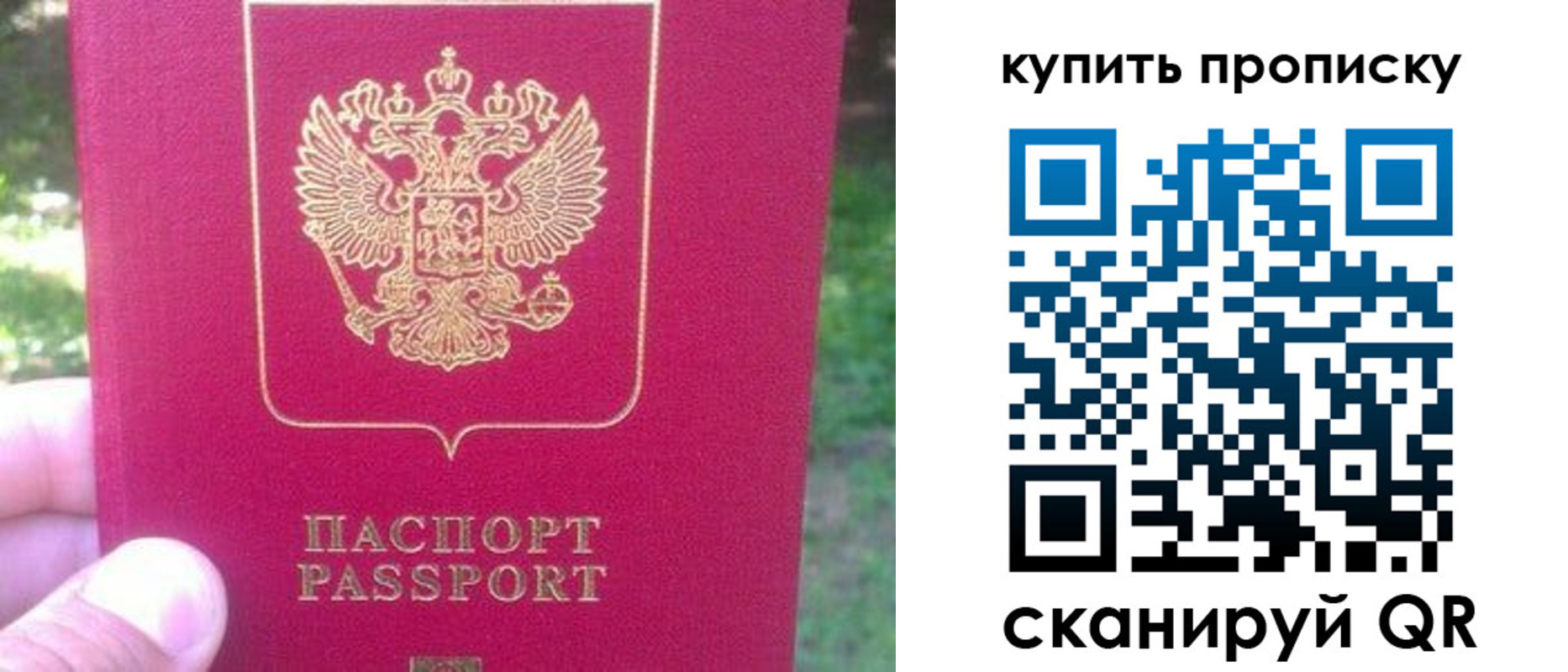 временная регистрация для школы в Опочке